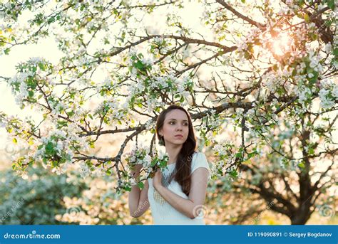 Beautiful Woman In Blossoming Apple Trees Stock Image Image Of Brunette Park 119090891