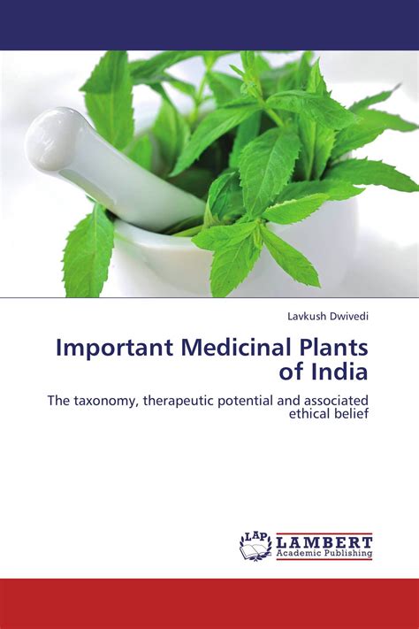 Important Medicinal Plants Of India 978 3 659 37057 1 9783659370571