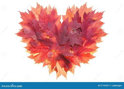 Red Maple Leaves Formed Heart Shape Stock Image Image Of Valentines