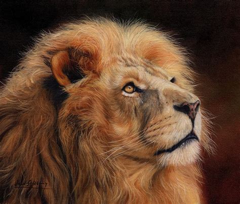 Majestic Lion Painting By David Stribbling