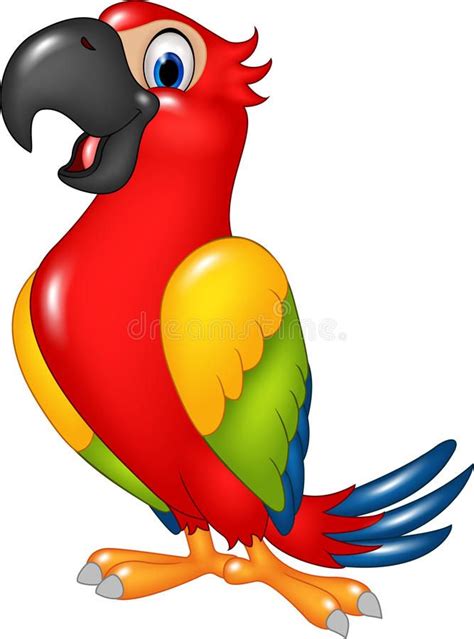 Cartoon Funny Parrot Isolated On White Background Illustration Of