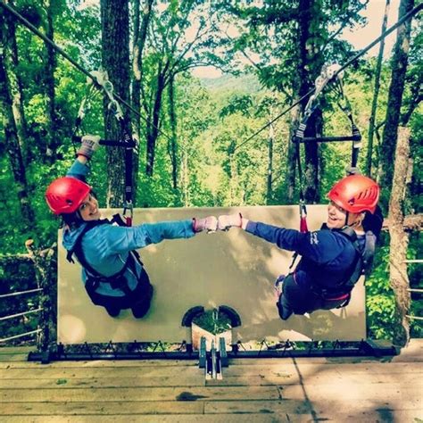 Navitat Canopy Adventures Barnardsville Nc