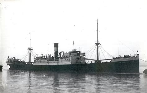 Desiring to push the sea expedition north to monterey — as gálvez had instructed — portolá offered captain vicente vila of the san carlos 16 of his own men to work the ship on its voyage to. Plum Branch 1921