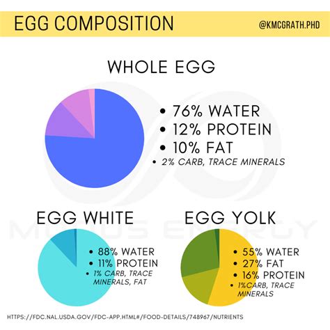 Egg And Egg White Nutrition Modus Energy Nutrition Coaching