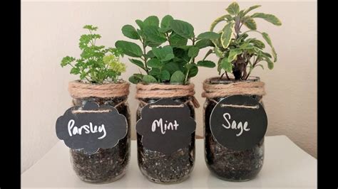 Diy Craft How To Make A Mason Jar Indoor Herb Garden Youtube