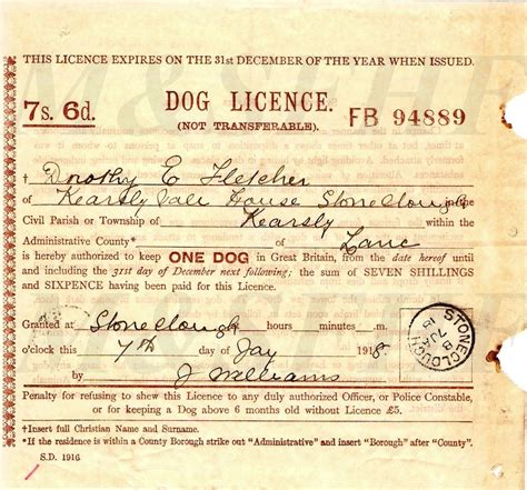 Why Do You Need A Dog Licence