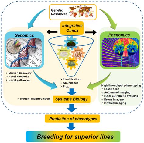 An Overview Of The Integrated Omics In Genetics And Breeding For Crop