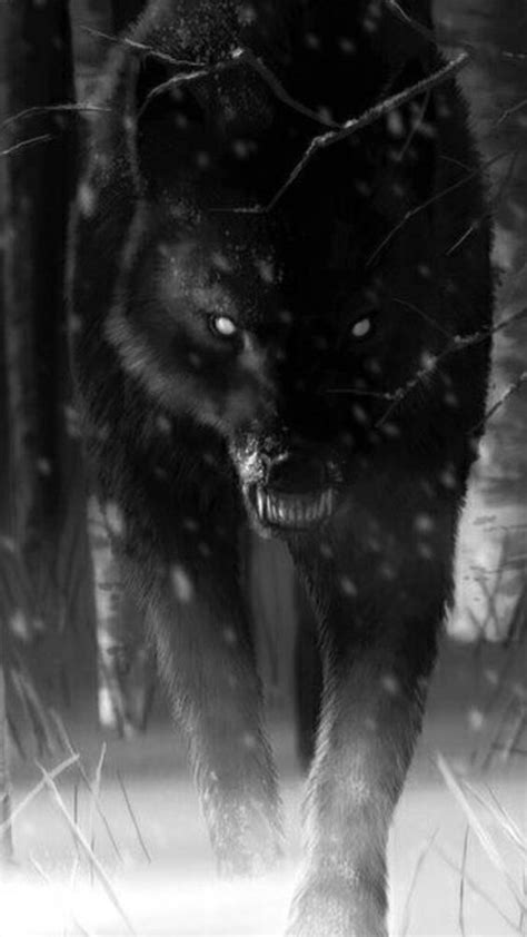 Pin De Matt En Timber Wolf Ojos Del Lobo Fotos De Lobo Lobos Negros