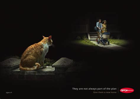SPCA: Move, Birth, Death • Ads of the World™ | Part of The Clio Network