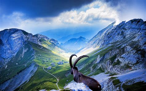 25953 views | 35980 downloads. mountain scenery nature - HD Desktop Wallpapers | 4k HD
