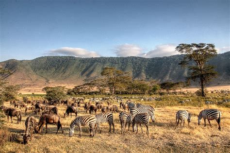 Cratere Del Ngorongoro Tanzania Guida Ai Luoghi Da Visitare Lonely