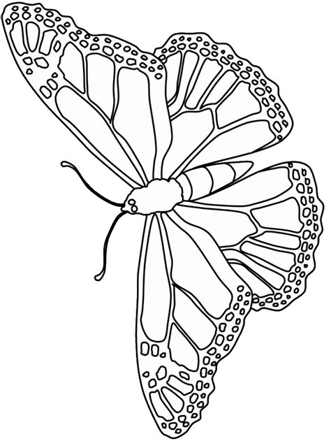 Butterfly Coloring Pages Free Printable Butterfly Coloring Pages