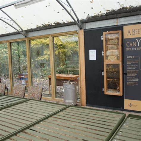 Find images of bee hotel. The Bee Centre, Preston, PR5 0UP, Honey - Big Barn