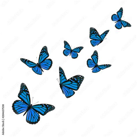 Blue Monarch Butterfly Clipart