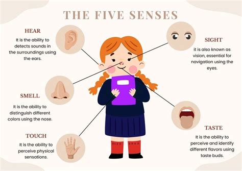 Five Senses Chart For Kindergarten In Illustrator Pdf Download