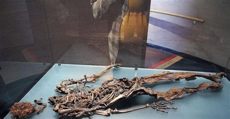 The Astonishingly Violent Backstories Of Bog Bodies Preserved For Centuries
