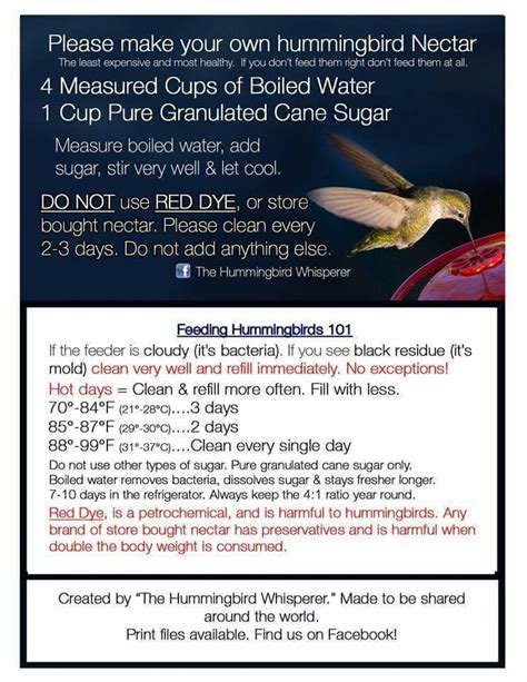 How to make hummingbird food to make hummingbird food simply boil the water, remove from the heat, add the sugar, and stir until the sugar dissolves. Make your own Hummingbird Nectar | Hummingbird nectar ...