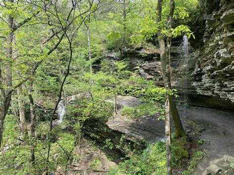 Best Hikes In Ozark St Francis National Forests Ar Trailhead