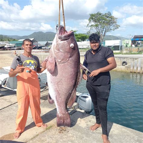 22 Year Old Catches Big Fish Trinidad And Tobago Newsday