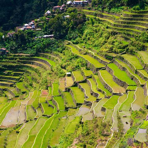 Banaue Rice Terraces Tour Philippines Holidays Eastravel