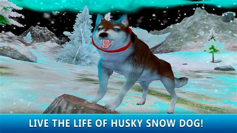 Husky Dog Simulator 3d Hd Gameplay Androidios Youtube