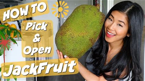 How To Easily Pick And Open Jackfruit Youtube