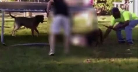 Man Records Vicious Pit Bull Fight To Show Animal Cruelty Of Neighbour