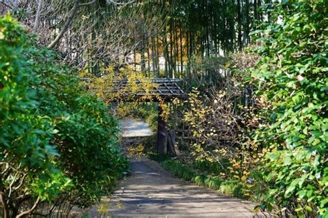 「板橋区立赤塚植物園」のブログ記事一覧-四季優彩 Annex
