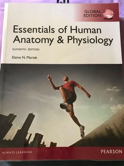 Essentials Of Human Anatomy And Physiology 11th Edition Powerpoint