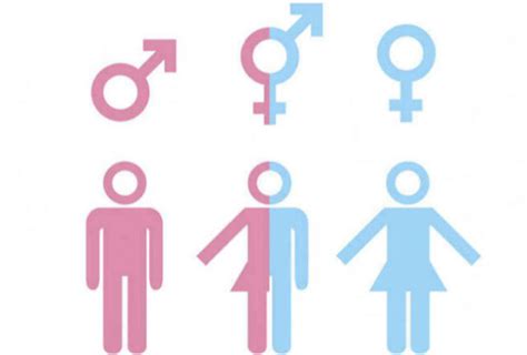 5 Sociedades Que Reconocen Más De Dos Géneros 💚 💛 🧡 ⋆ Notiboom