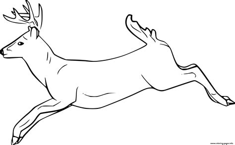 Running White Tailed Deer Coloring Page Printable