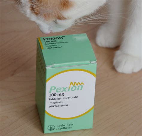 Antiepileptika Pexion 100 Mg Epilepsie Katze Medikament Pexion 100 Mg