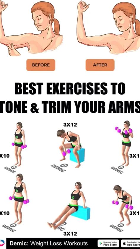 Best Exercises To Tone Your Arms An Immersive Guide By