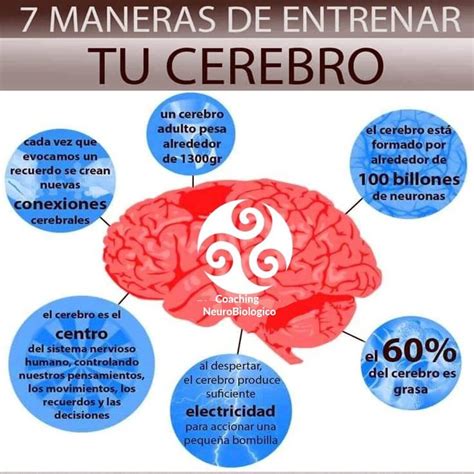 7 Maneras De Entrenar Tu Cerebro Sanar Las Heridas Coaching De Salud