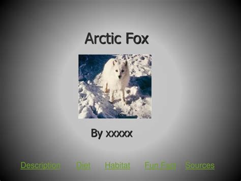 Ppt Arctic Fox Powerpoint Presentation Free Download Id9085485