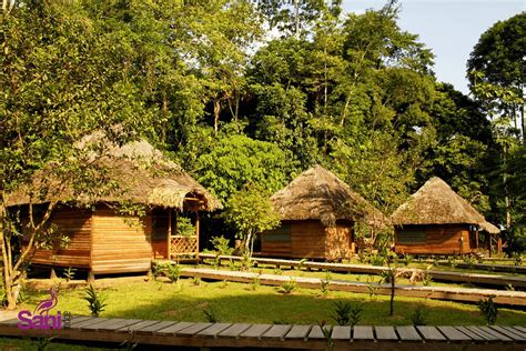 Sani Lodge Amazon Rainforest Tours Yasuni Park Ecuador