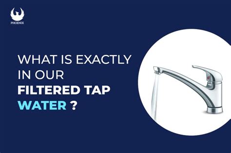 What Is Exactly In Our Filtered Tap Water