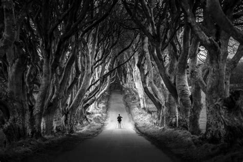 15 Amazing Black And White Landscape Photos That Will Leave