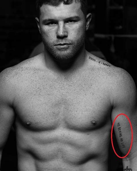 Get the latest canelo boxing news including fight dates, records, odds and predictions plus saul alvarez¿ instagram and twitter updates. Canelo Álvarez's 14 Tattoos & Their Meanings - Body Art Guru