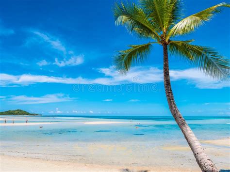 Beautiful Tropical Beach And Sea With Coconut Palm Tree Stock Image