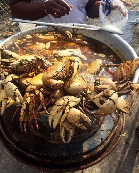 Jamaican Crab Season