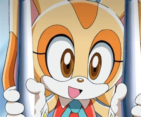 Cream The Rabbit From Sonic X Sonic The Hedgehog Amino