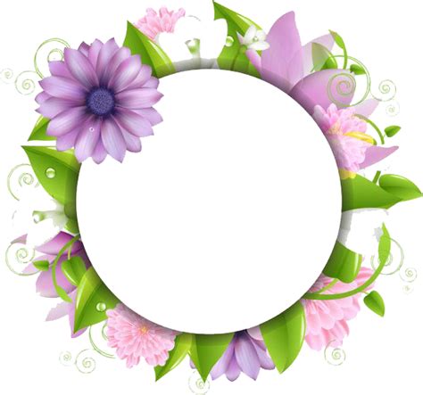 Flowers Borders Png All Png All