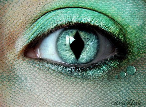 Contact lens, or simply contacts, are thin lenses placed directly on the surface of the eyes. Scale effect for face and torso. Could lay net stocking on ...