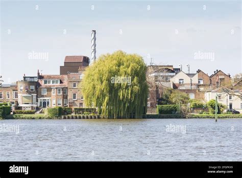 Fullers Brewery Chiswick Fuller Smith And Turner Griffin Brewery In