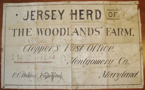 Sfb Herding Woodlands Logo Inspiration Muse 19th Century