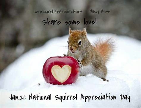 Jan 21national Squirrel Appreciation Day Squirrel Appreciation