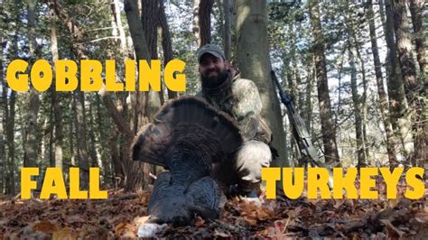 Fall Turkey Hunting Running And Gunning For Gobbling Turkeys Youtube