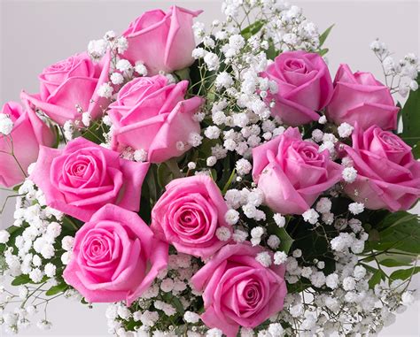 Candy Pink Roses Flowers