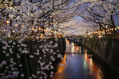 11 Beautiful Places In Japan That Are Hard To Believe Really Exist